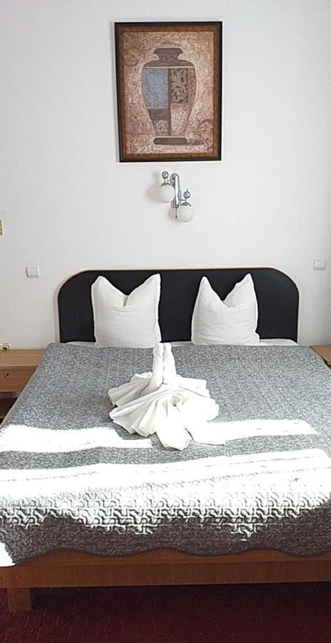 Vila Gabriel Sinaia Dış mekan fotoğraf