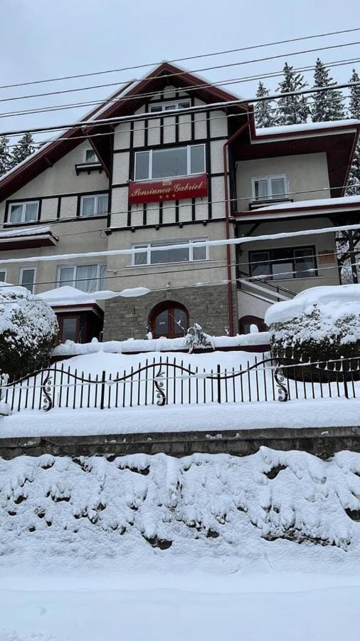 Vila Gabriel Sinaia Dış mekan fotoğraf