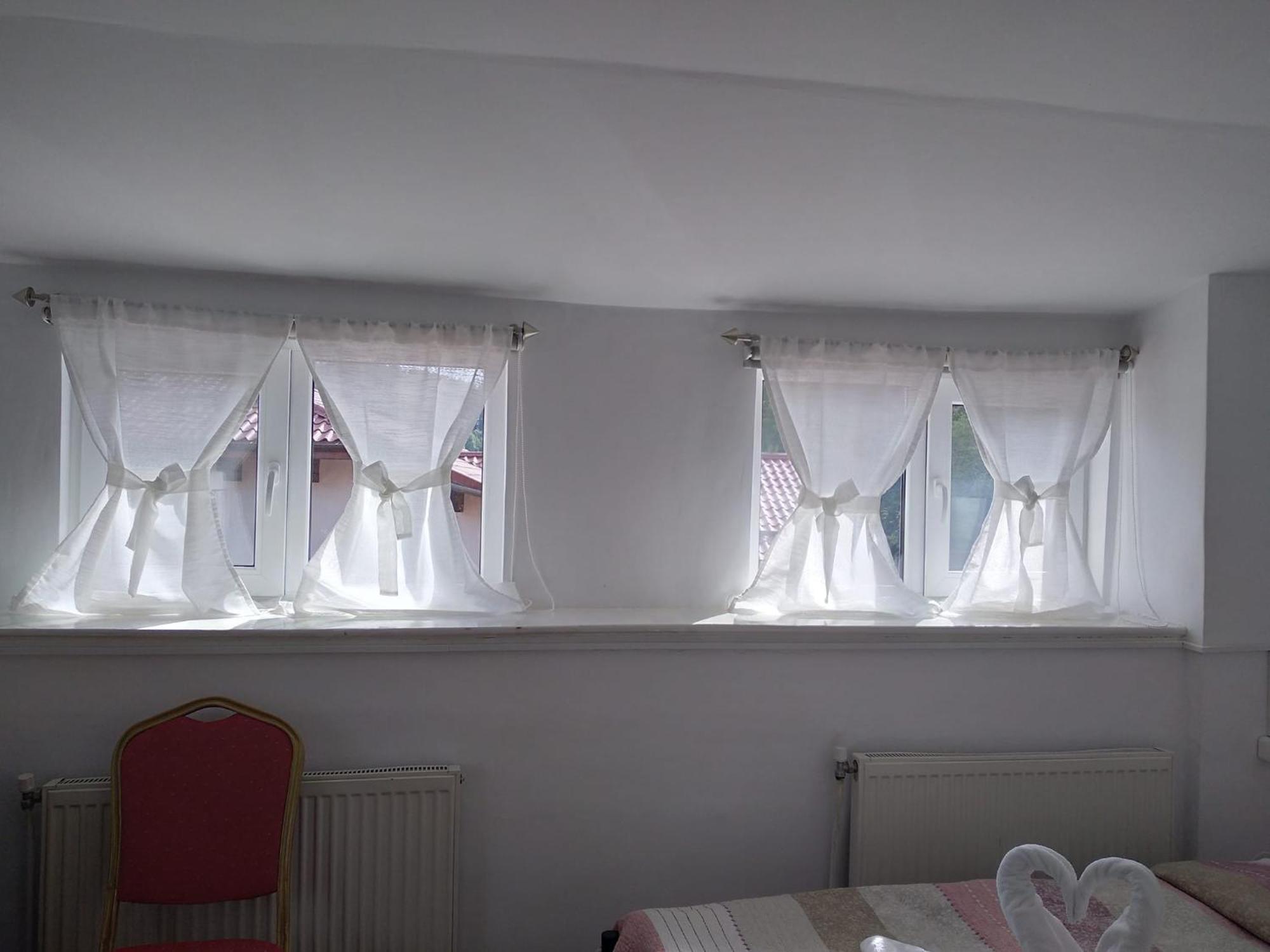 Vila Gabriel Sinaia Dış mekan fotoğraf