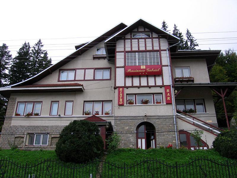 Vila Gabriel Sinaia Dış mekan fotoğraf