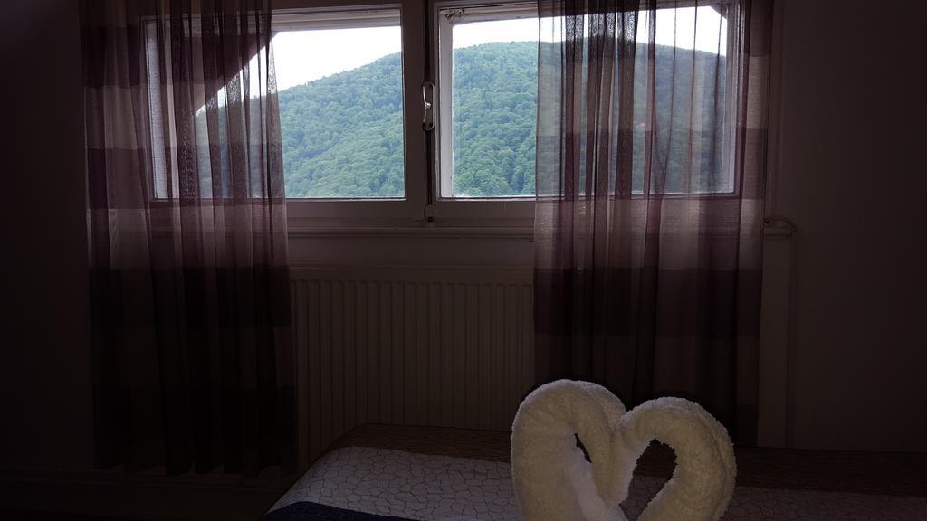 Vila Gabriel Sinaia Dış mekan fotoğraf