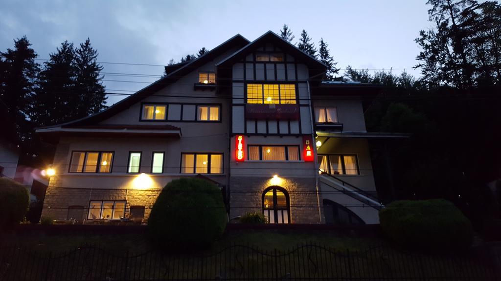 Vila Gabriel Sinaia Dış mekan fotoğraf