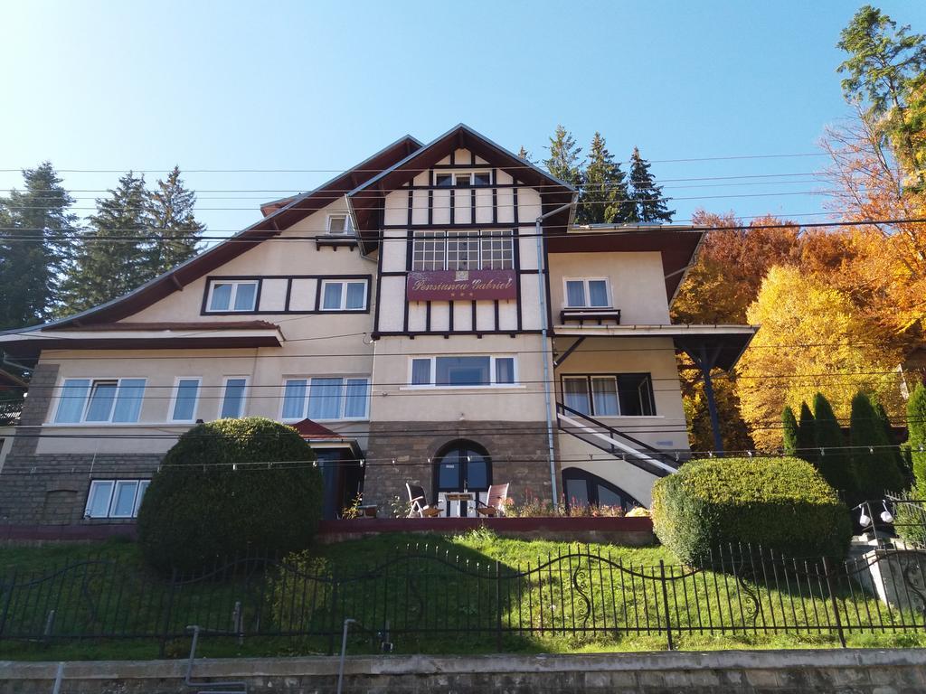 Vila Gabriel Sinaia Dış mekan fotoğraf