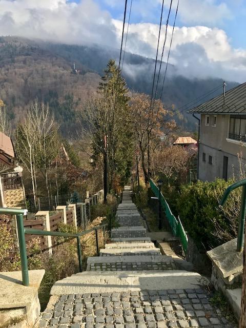 Vila Gabriel Sinaia Dış mekan fotoğraf