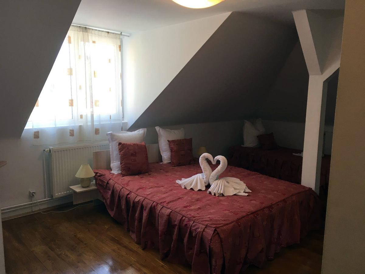 Vila Gabriel Sinaia Dış mekan fotoğraf