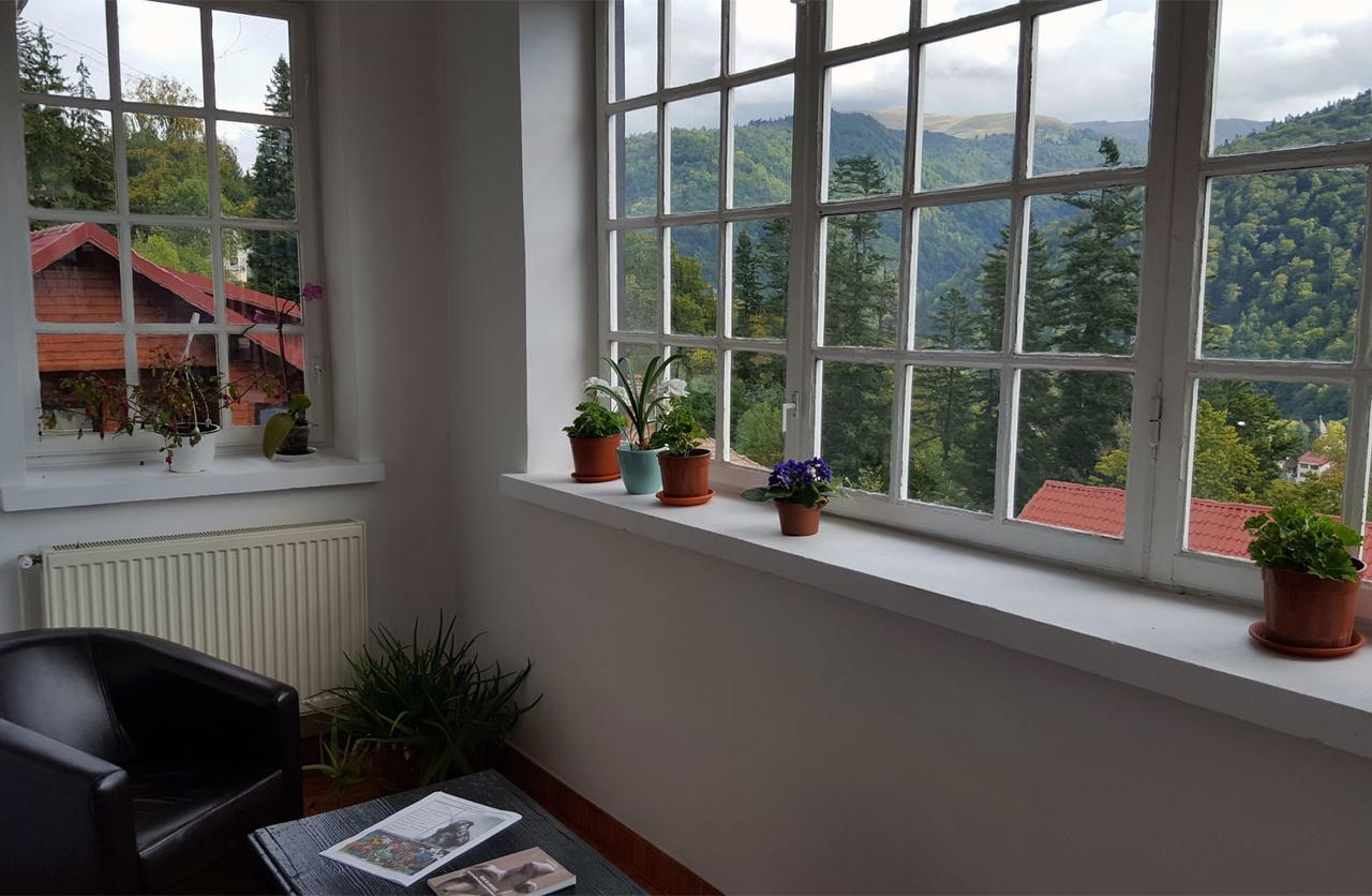 Vila Gabriel Sinaia Dış mekan fotoğraf