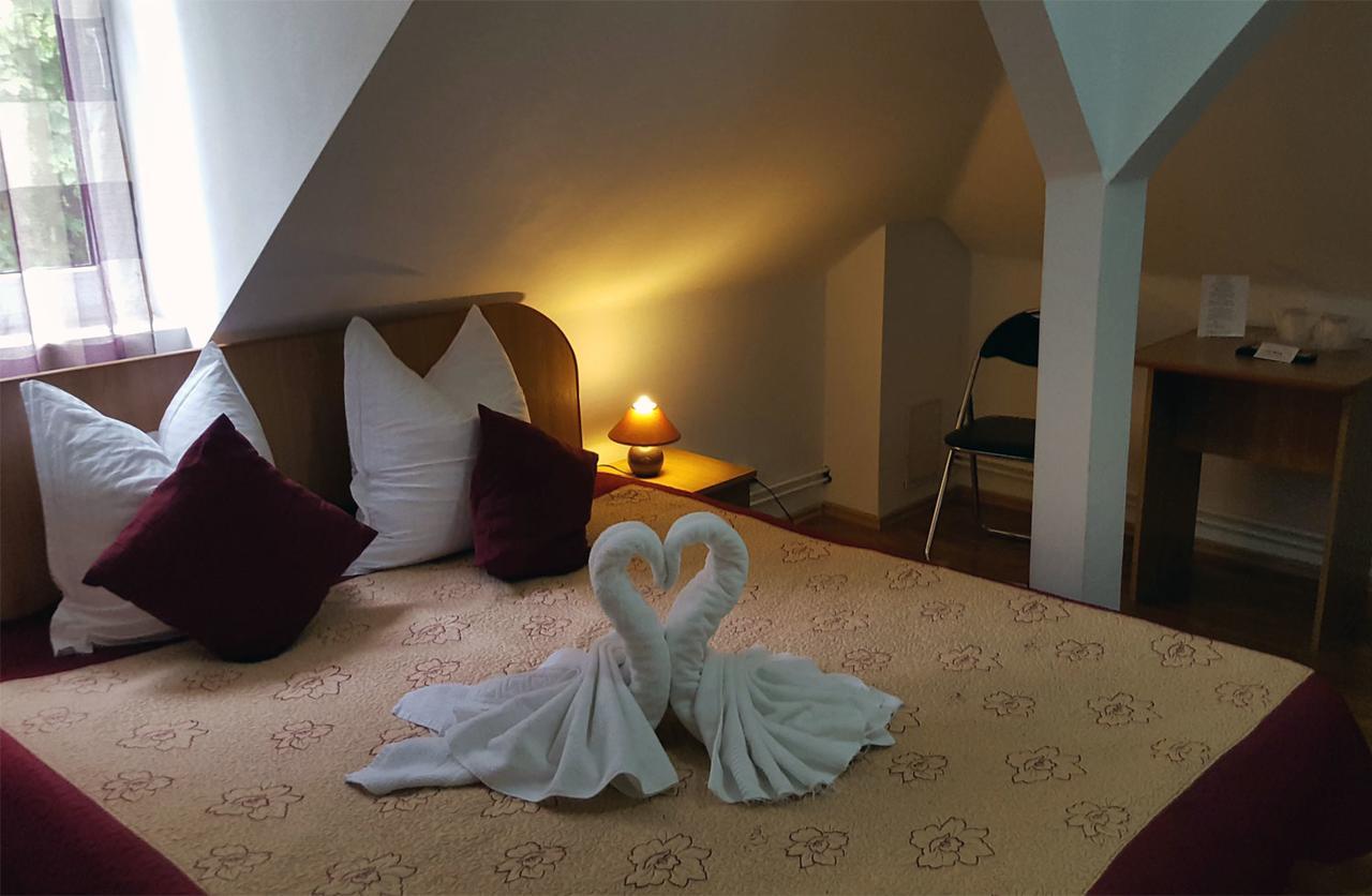 Vila Gabriel Sinaia Dış mekan fotoğraf