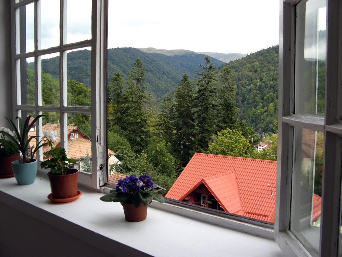 Vila Gabriel Sinaia Dış mekan fotoğraf