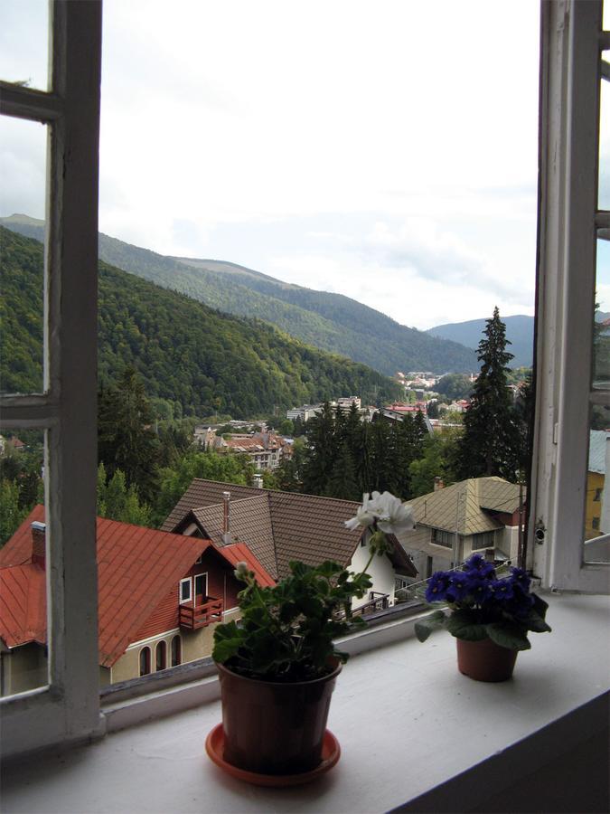 Vila Gabriel Sinaia Dış mekan fotoğraf