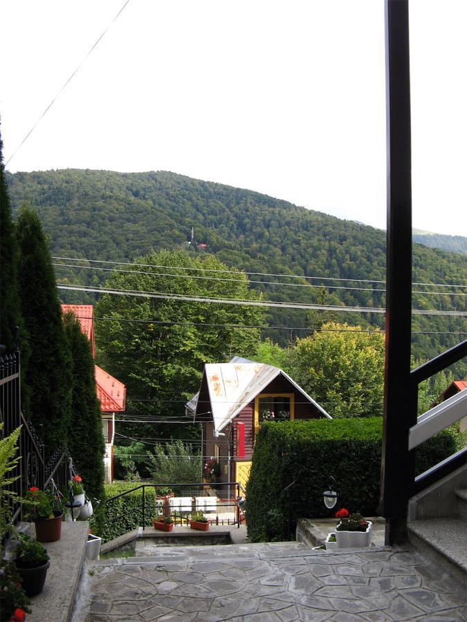 Vila Gabriel Sinaia Dış mekan fotoğraf
