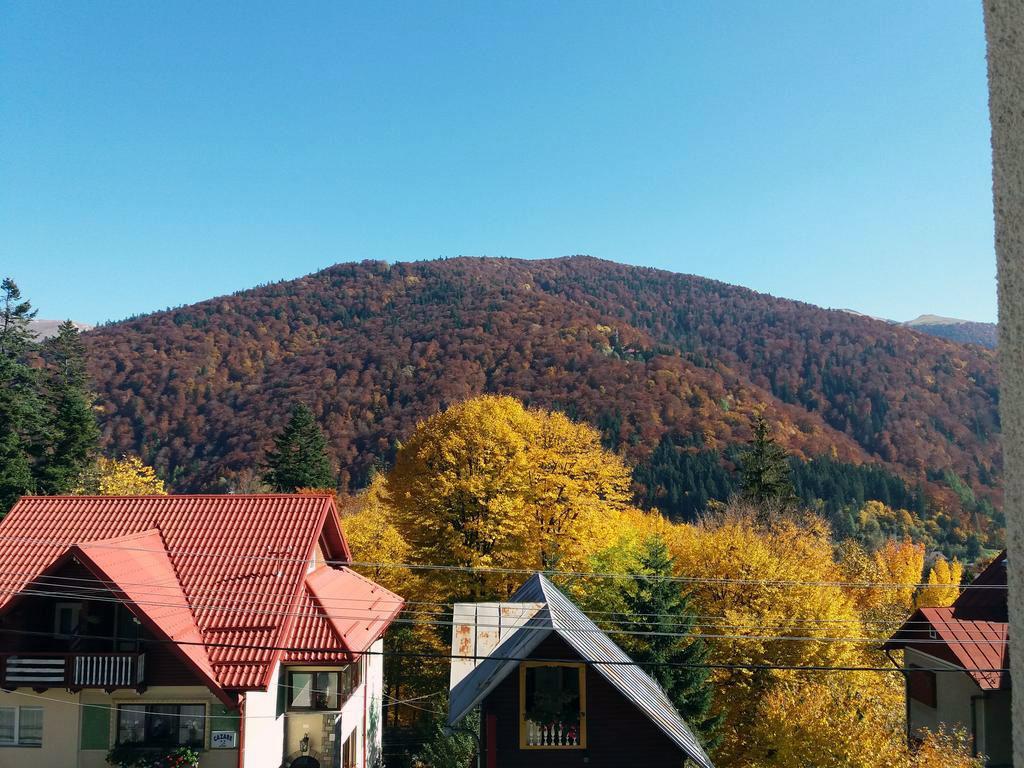 Vila Gabriel Sinaia Dış mekan fotoğraf