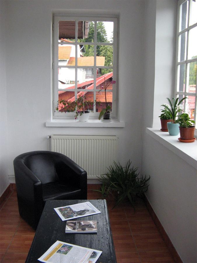 Vila Gabriel Sinaia Dış mekan fotoğraf